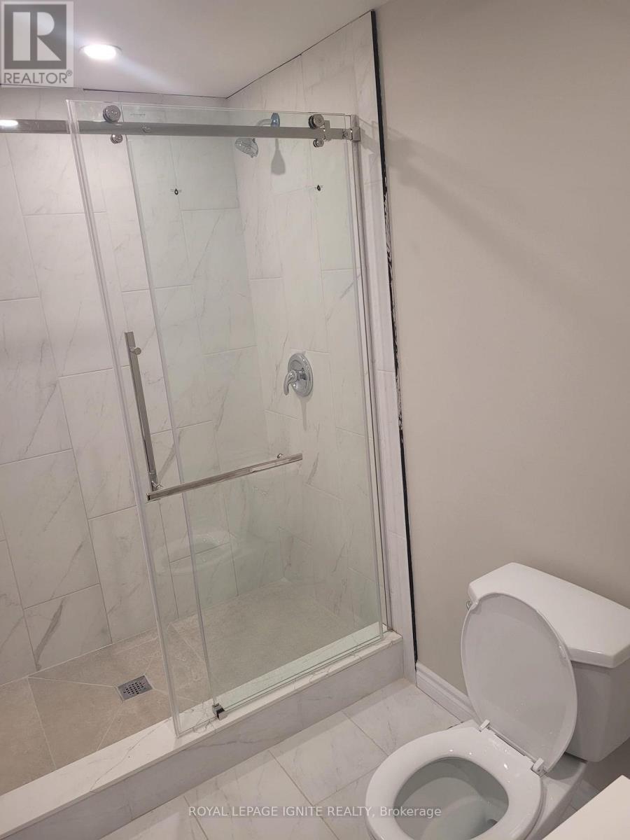 Basement - 2524 Bandsman Crescent, Oshawa, Ontario L1L 0M2 - Photo 8 - E12499430