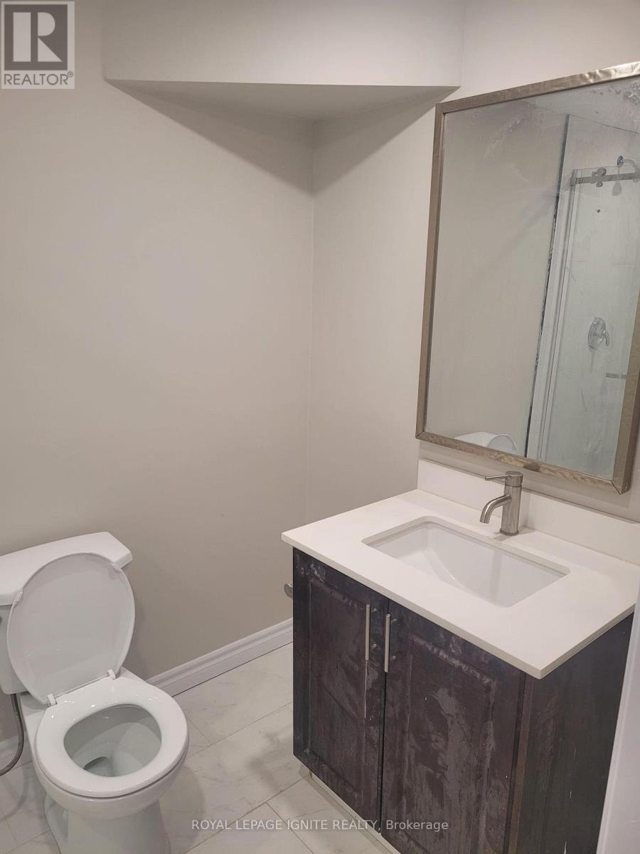 Basement - 2524 Bandsman Crescent, Oshawa, Ontario L1L 0M2 - Photo 9 - E12499430