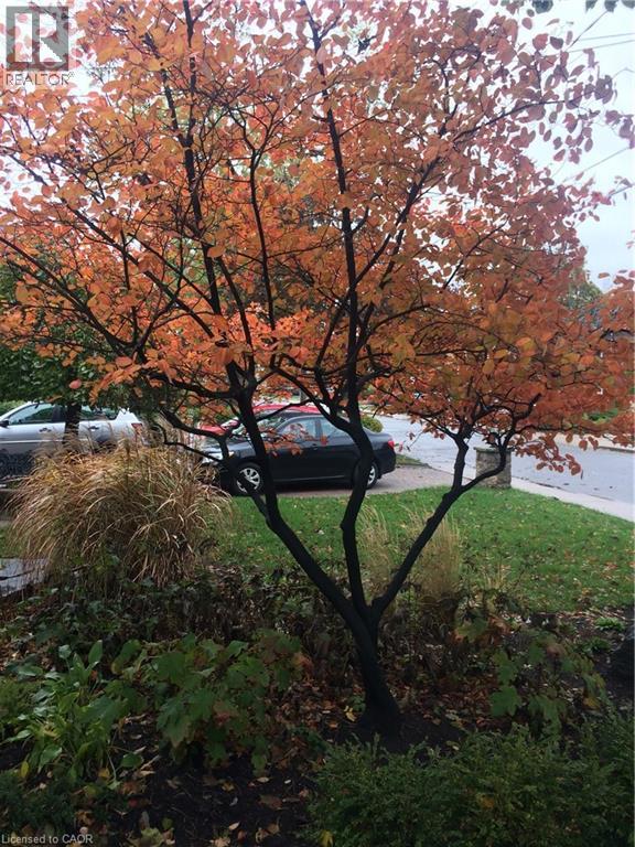 91 Mountain Park Avenue, Hamilton, Ontario  L9A 1A1 - Photo 10 - 40765802