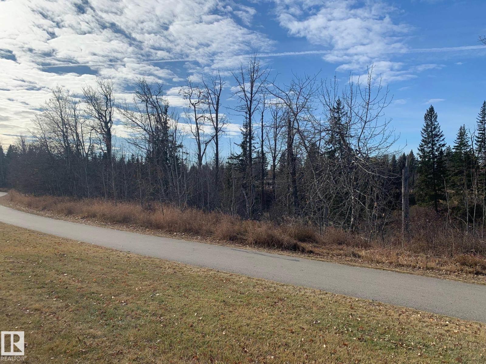 370 Edgemont Rd Nw, Edmonton, Alberta  T6M 0Y4 - Photo 17 - E4464546