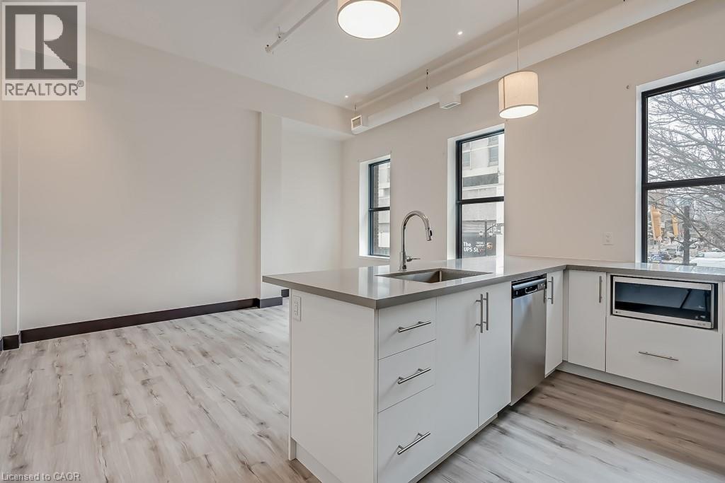 121 King Street E Unit# 201, Hamilton, Ontario  L7N 1A9 - Photo 6 - 40785053
