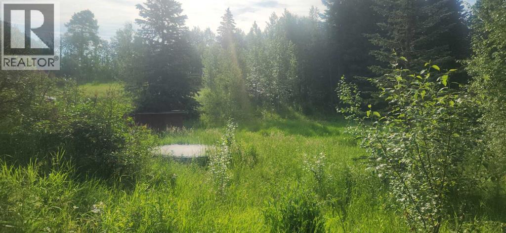 403065 Range Road 4-5 Road, Rural Clearwater County, Alberta  T0M 1H0 - Photo 22 - A2237723