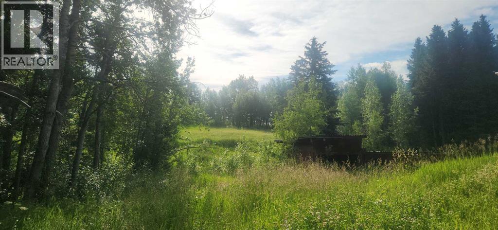 403065 Range Road 4-5 Road, Rural Clearwater County, Alberta  T0M 1H0 - Photo 2 - A2237723