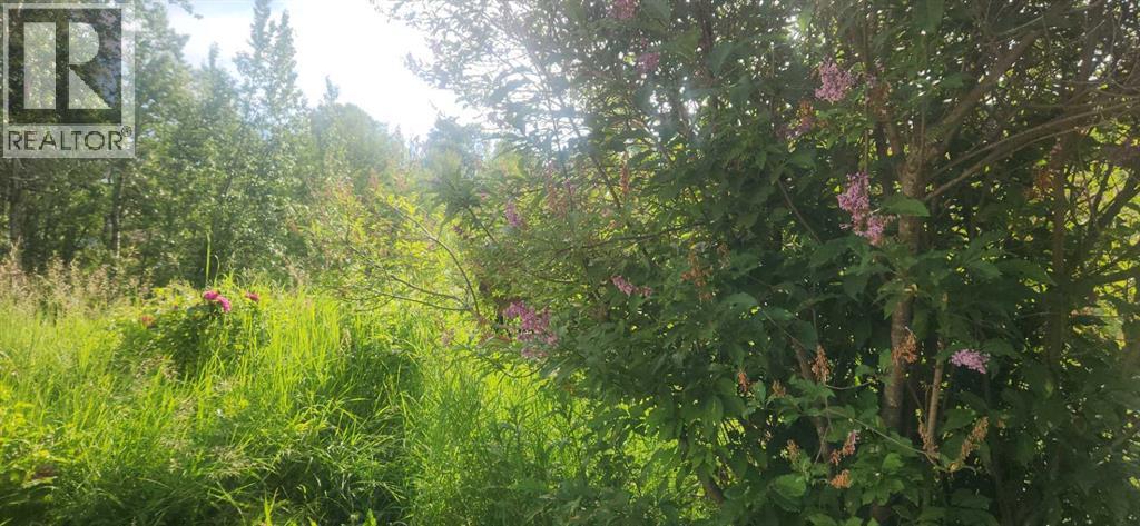 403065 Range Road 4-5 Road, Rural Clearwater County, Alberta  T0M 1H0 - Photo 21 - A2237723