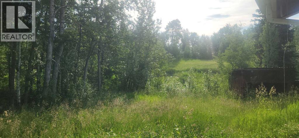 403065 Range Road 4-5 Road, Rural Clearwater County, Alberta  T0M 1H0 - Photo 7 - A2237723