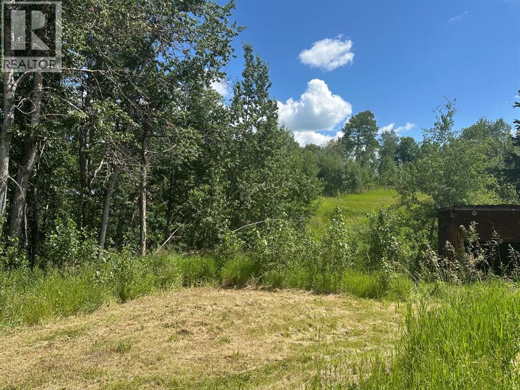 403065 Range Road 4-5 Road, Rural Clearwater County, Alberta  T0M 1H0 - Photo 36 - A2237723