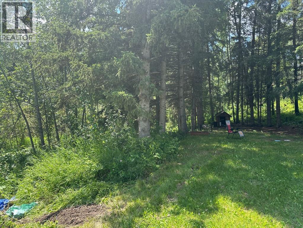 403065 Range Road 4-5 Road, Rural Clearwater County, Alberta  T0M 1H0 - Photo 34 - A2237723