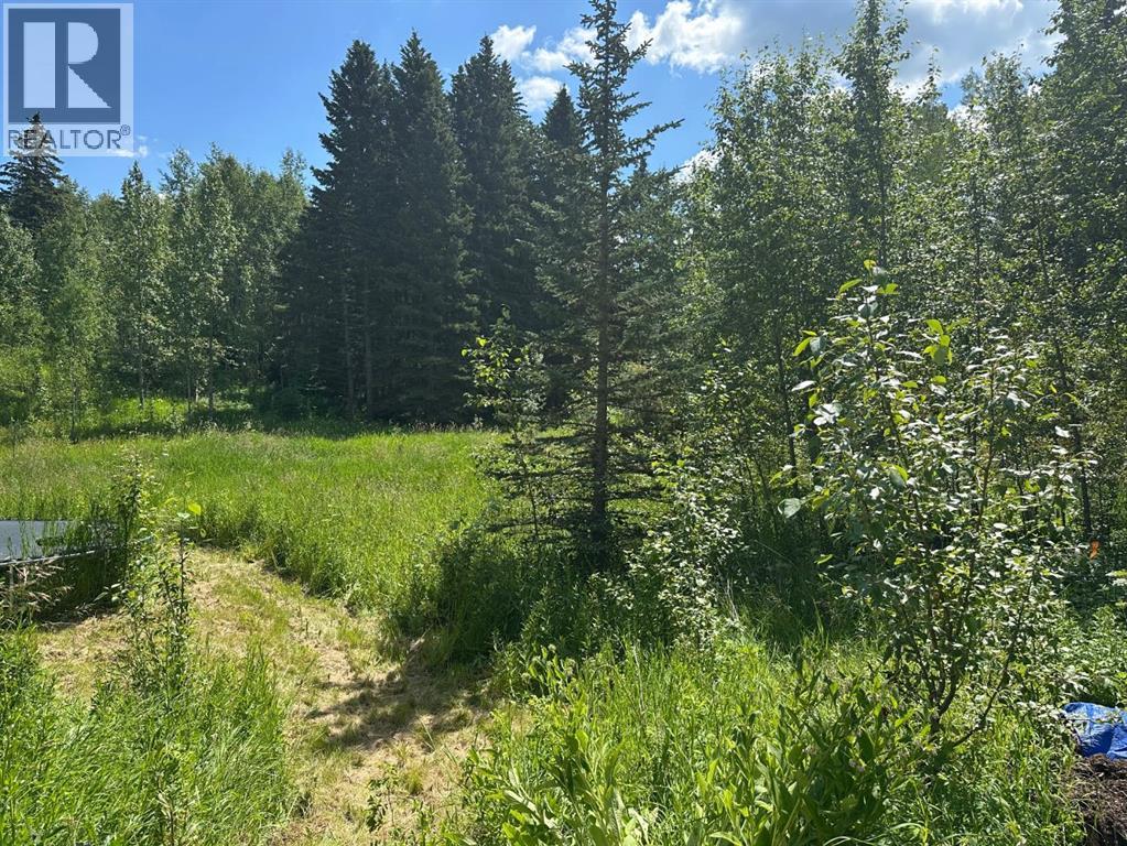 403065 Range Road 4-5 Road, Rural Clearwater County, Alberta  T0M 1H0 - Photo 33 - A2237723