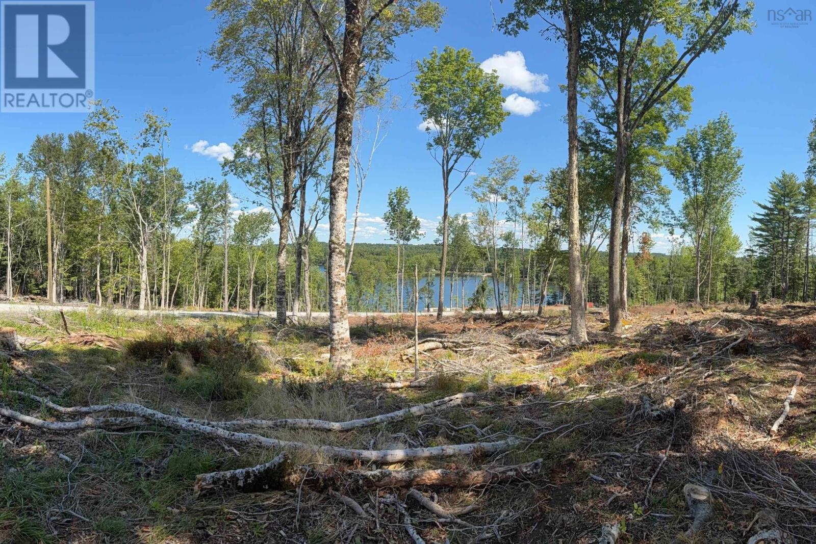 Lot 7 Sweetland Road, Sweetland, Nova Scotia  B0J 1E0 - Photo 5 - 202522161