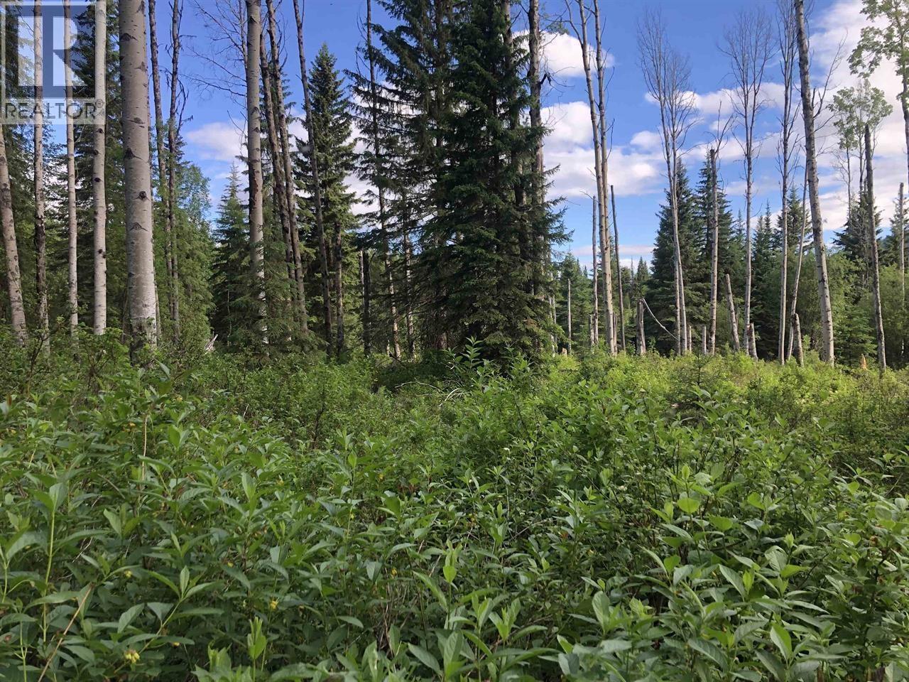 3078 BRADLEY CREEK ROAD, 100 Mile House, British Columbia