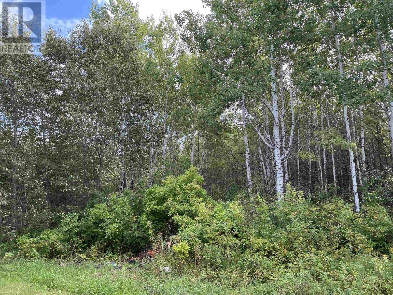 1363 Hwy 615, Barwick, Ontario P0W 1A0 - Photo 15 - TB252713