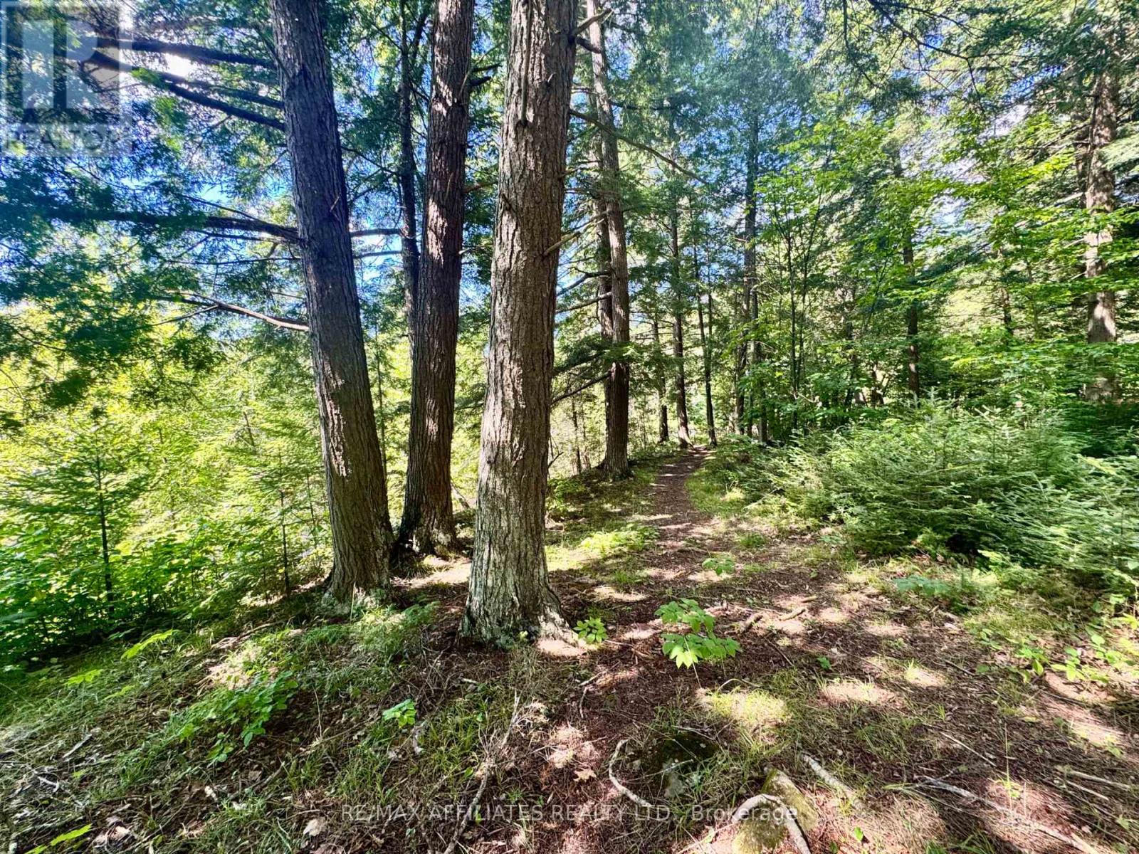 6828 511 Highway, Lanark Highlands, Ontario  K0G 1K0 - Photo 25 - X12503956