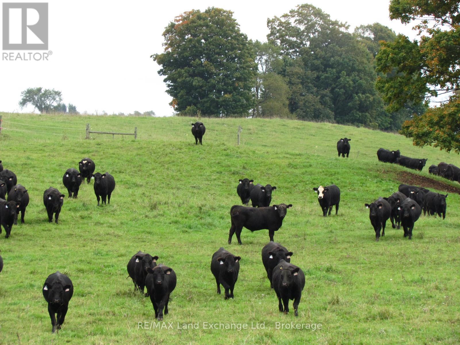 97 2 Bruce Twp. Concession, Kincardine, Ontario N2Z 2X3 - Photo 7 - X12428528