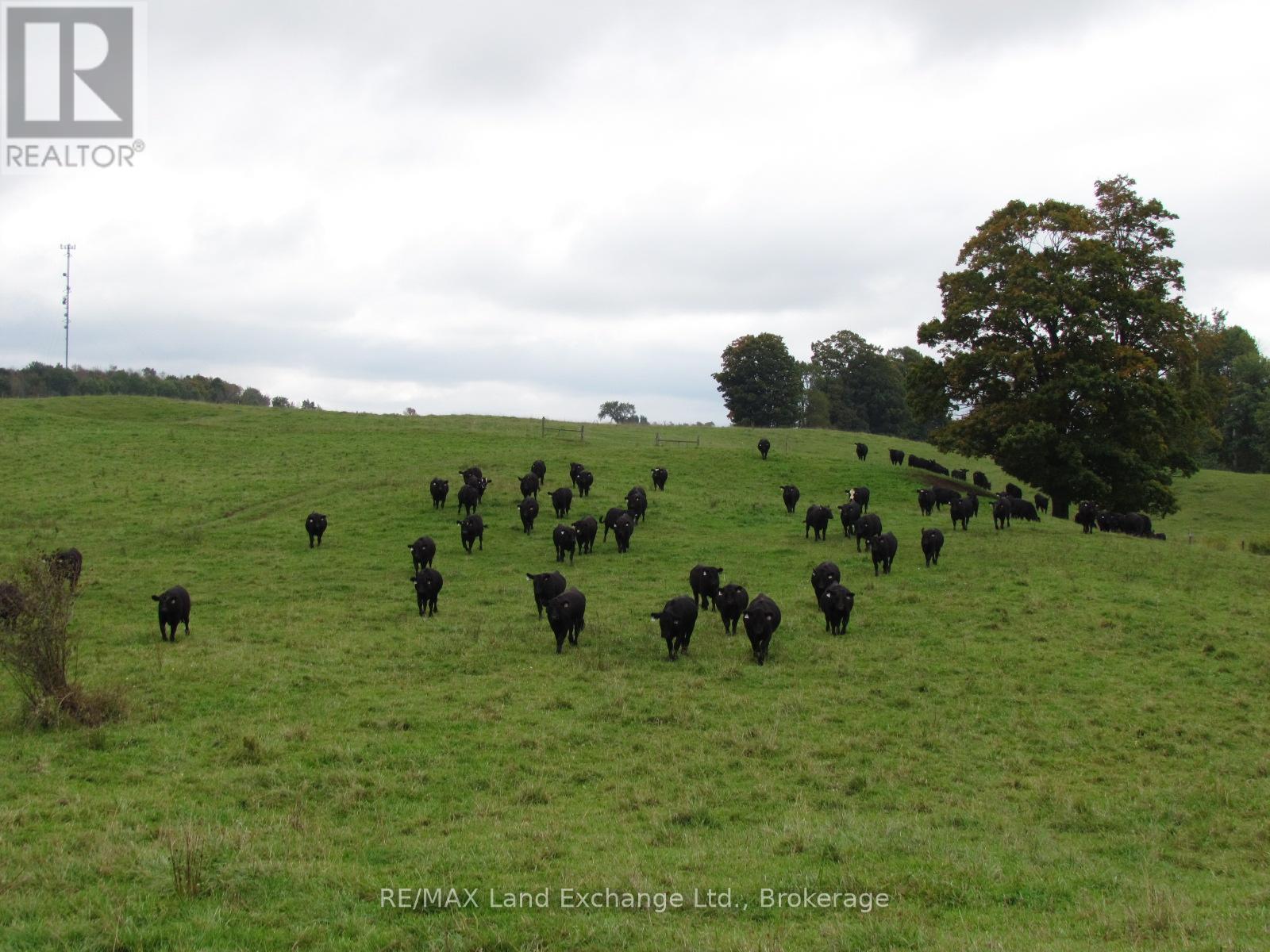 97 2 Bruce Twp. Concession, Kincardine, Ontario N2Z 2X3 - Photo 8 - X12428528