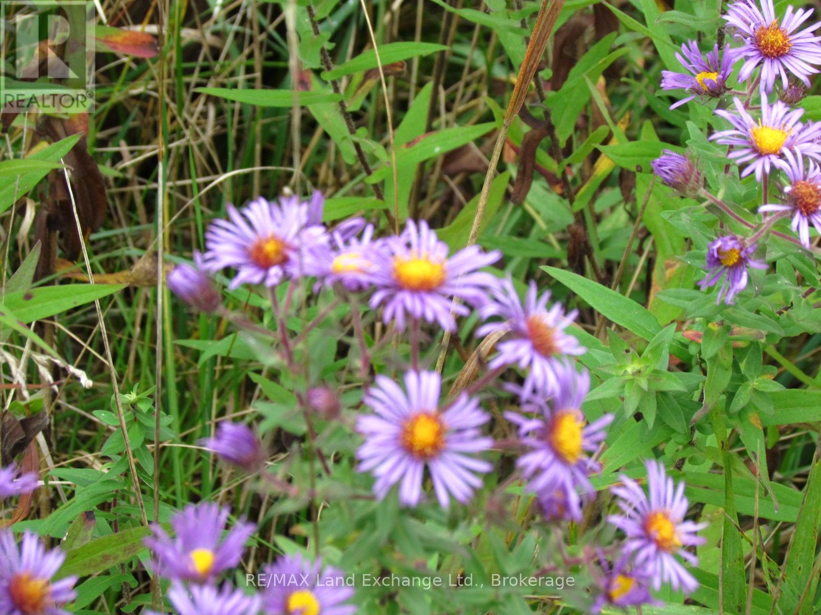 97 2 Bruce Twp. Concession, Kincardine, Ontario N2Z 2X3 - Photo 6 - X12428528