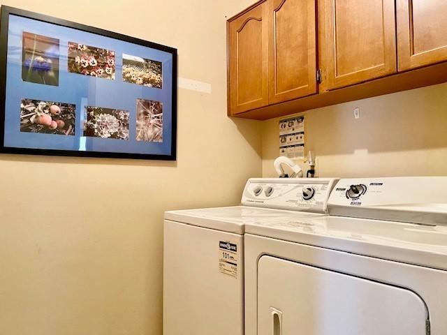 333 31955 Old Yale Road, Abbotsford, British Columbia  V2T 4N1 - Photo 19 - R3063888