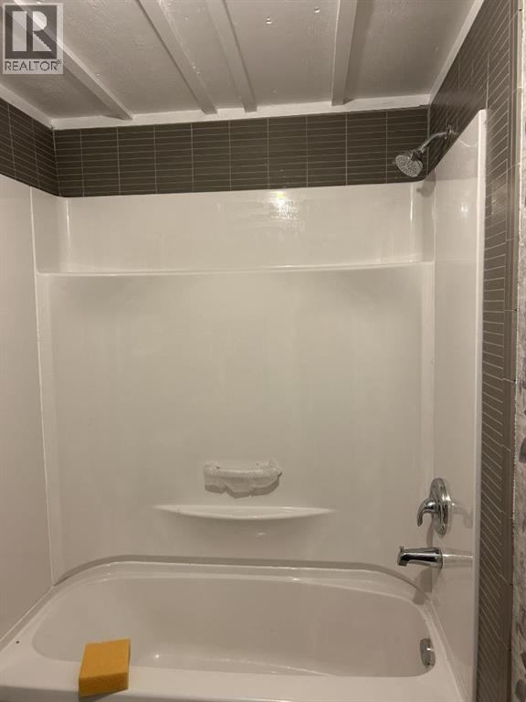 5019 49 Street, Amisk, Alberta  T0B 0B0 - Photo 11 - A2254100