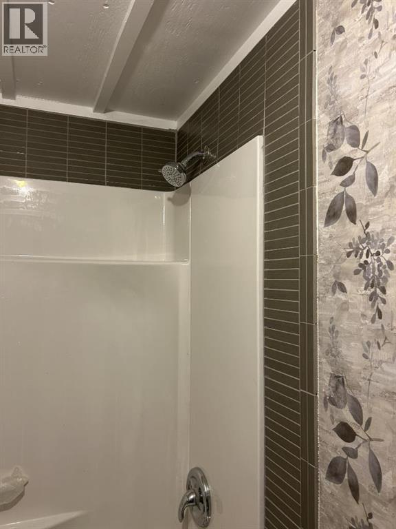 5019 49 Street, Amisk, Alberta  T0B 0B0 - Photo 12 - A2254100