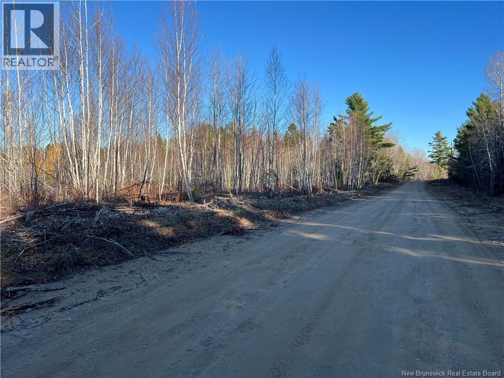 Lot 21 Fishing Club Road, Bass River, New Brunswick  E4T 1H1 - Photo 8 - NB115970