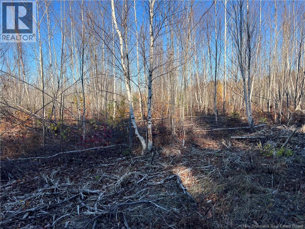 Lot 21 Fishing Club Road, Bass River, New Brunswick  E4T 1H1 - Photo 7 - NB115970