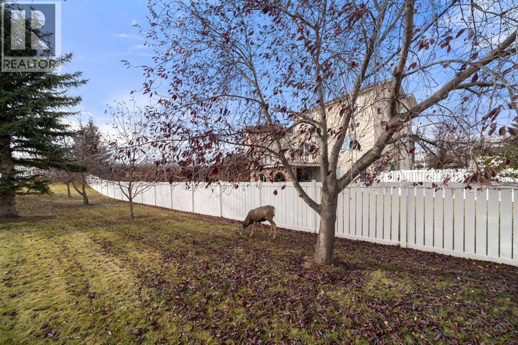 634 Sheep River Mews, Okotoks, Alberta  T1S 1S5 - Photo 32 - A2267612