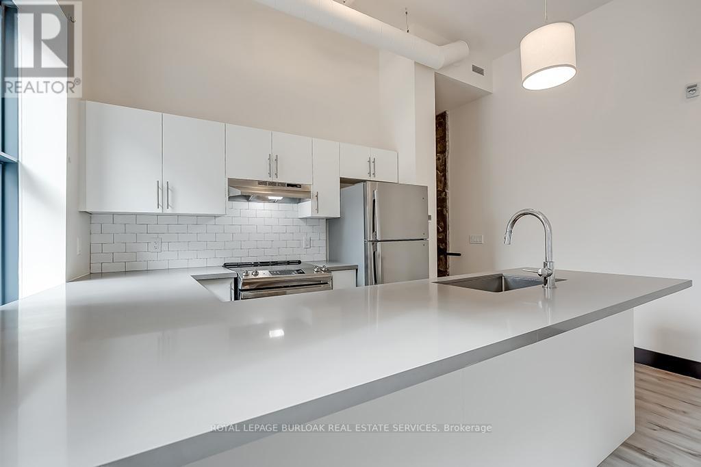 201 - 121 King Street E, Hamilton, Ontario  L7N 1A9 - Photo 10 - X12503796