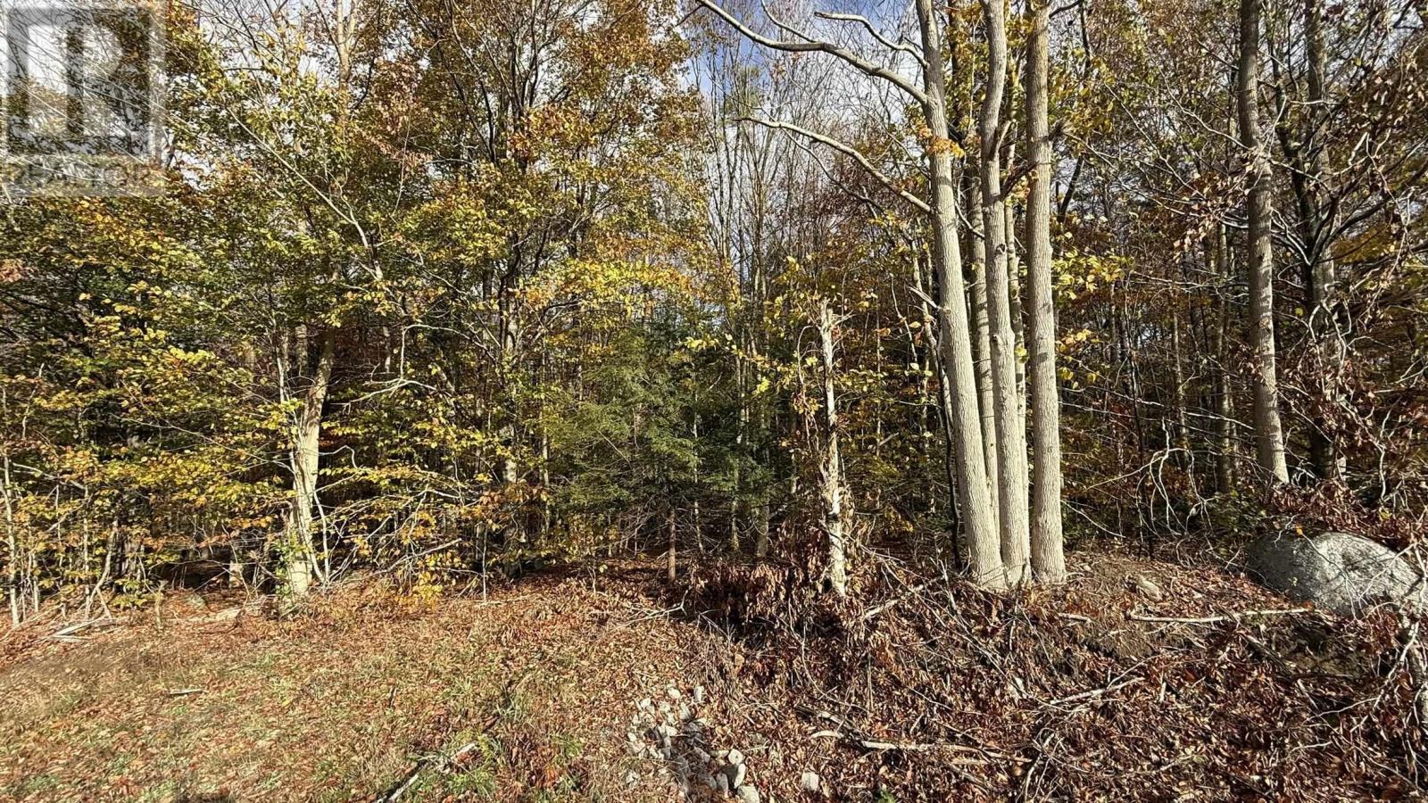 Lot 3 Easton Road, Hilltown, Nova Scotia  B0R 1T0 - Photo 9 - 202515246