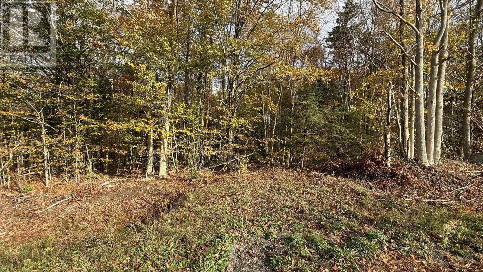 Lot 3 Easton Road, Hilltown, Nova Scotia  B0R 1T0 - Photo 10 - 202515246