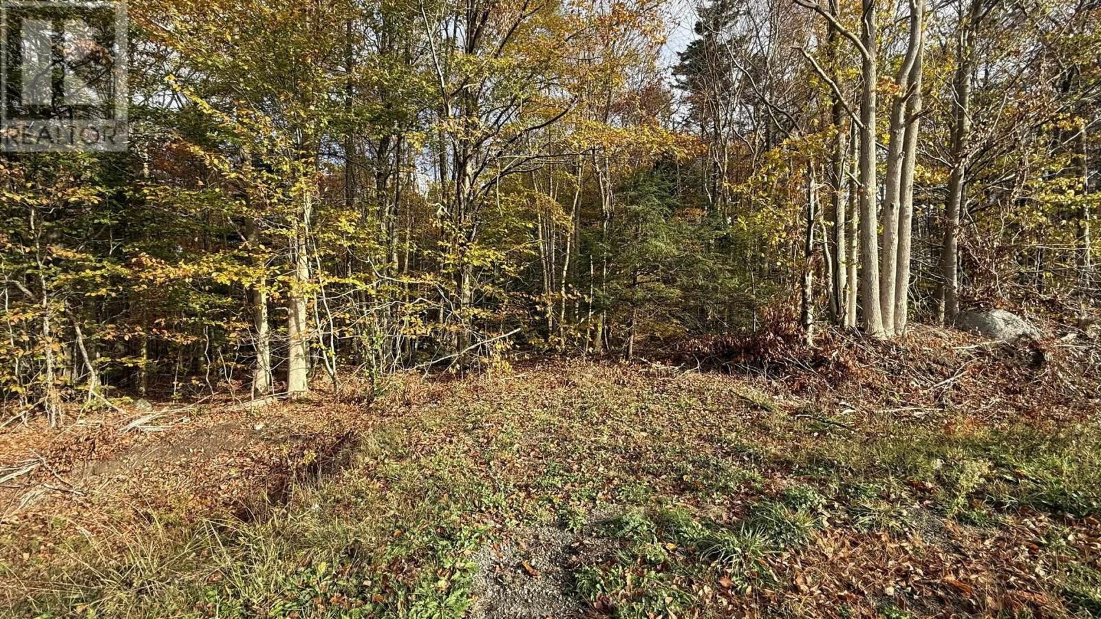 Lot 3 Easton Road, Hilltown, Nova Scotia  B0R 1T0 - Photo 12 - 202515246