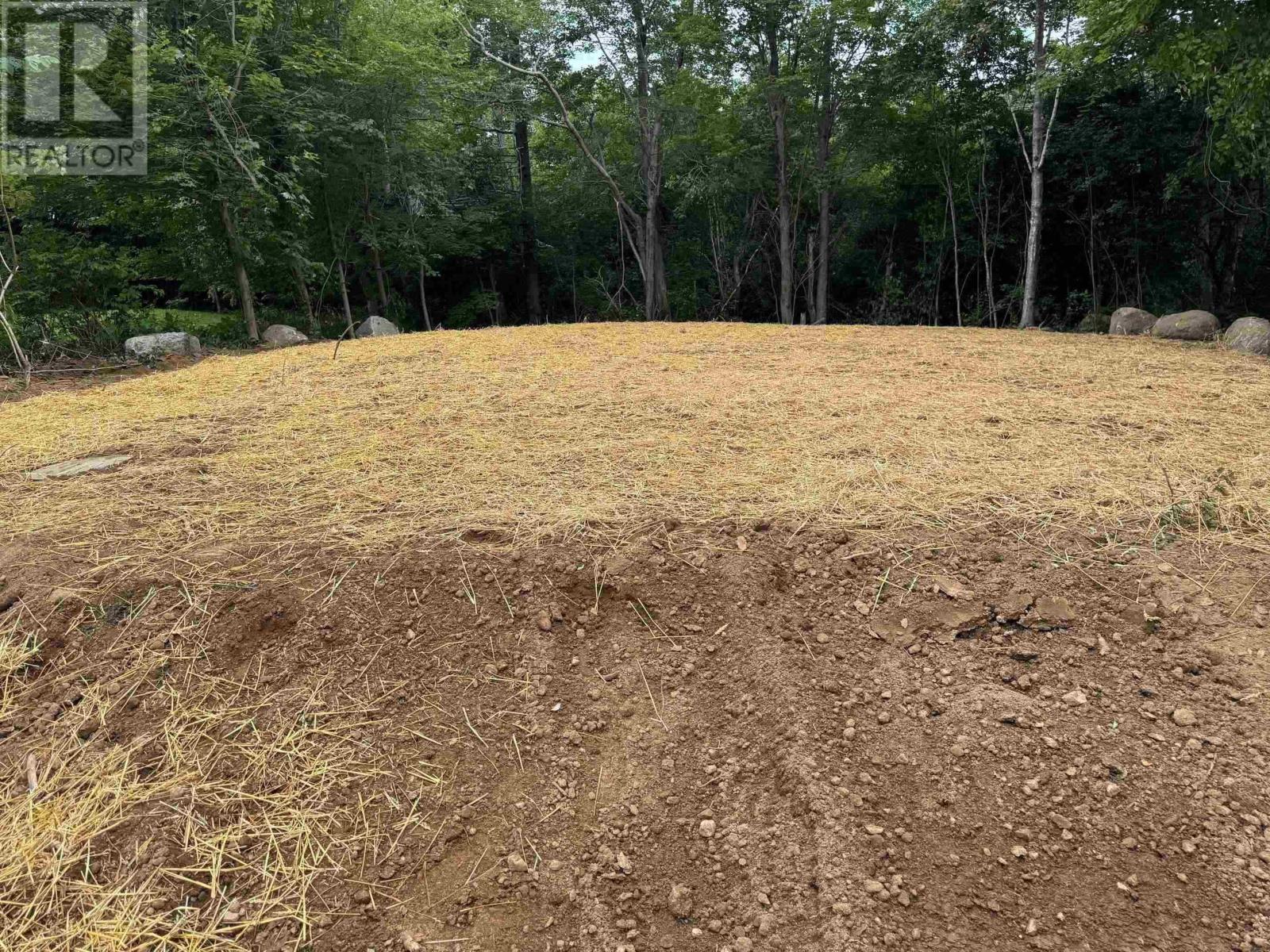 Lot 6 Highway 7, Westphal, Nova Scotia  B2Z 1A9 - Photo 3 - 202527111