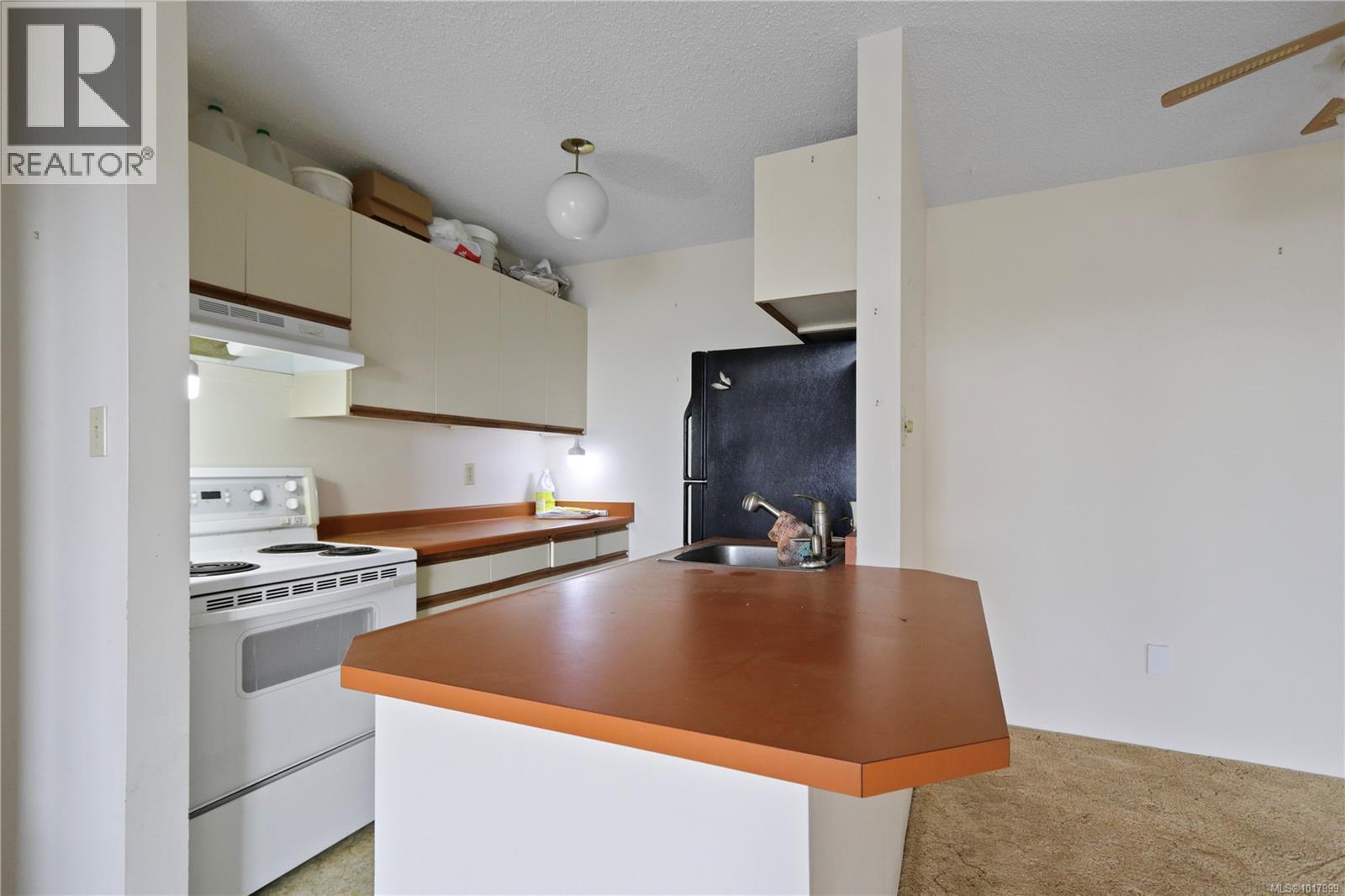 407 9942 Daniel St, Chemainus, British Columbia V0R 1K1 - Photo 5 - 1017999