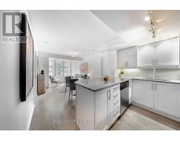 729 - 85 EAST LIBERTY STREET, Toronto, Ontario