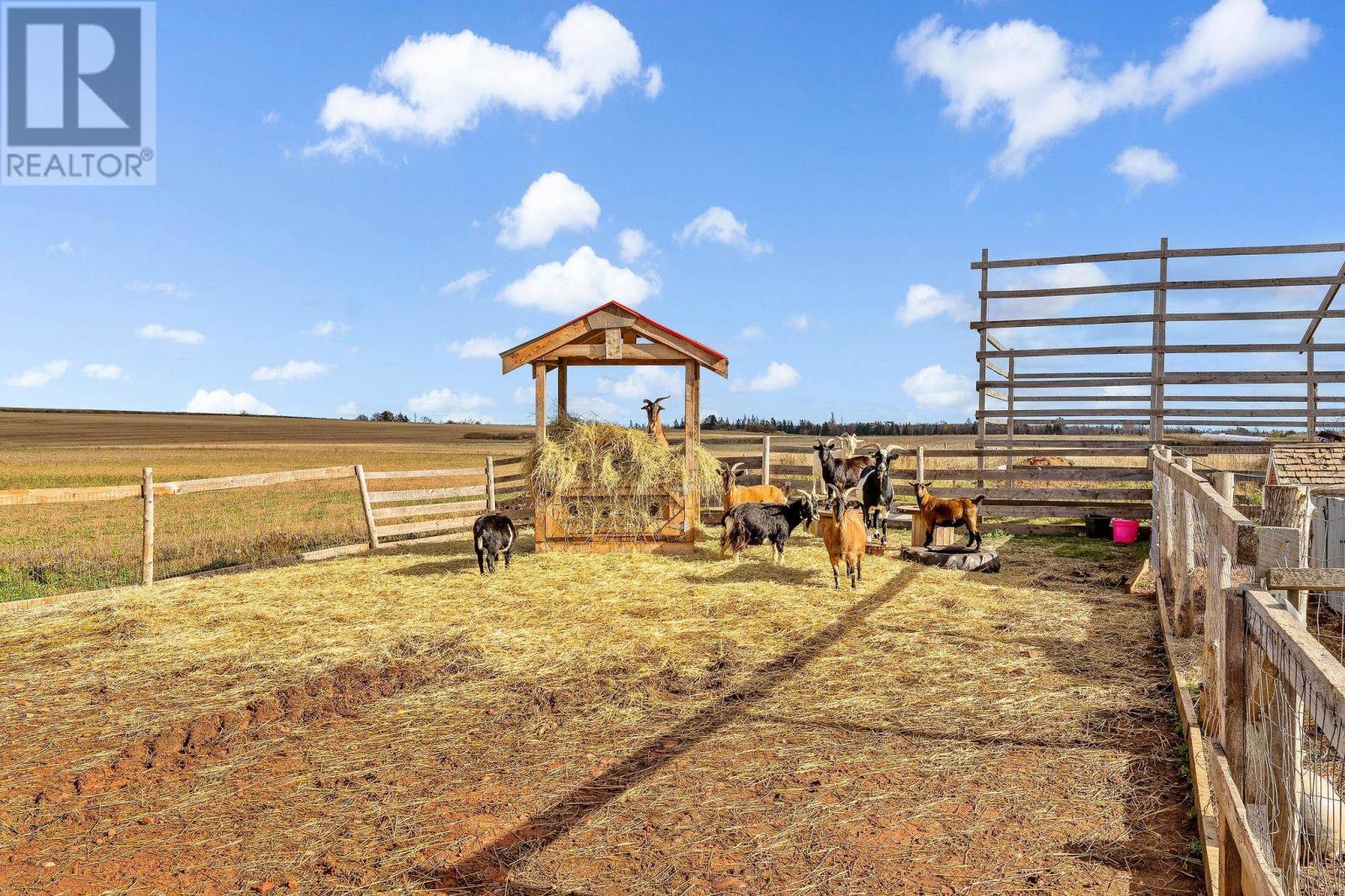 279 Primrose Road, Cardigan, Prince Edward Island  C0A 1G0 - Photo 22 - 202527172