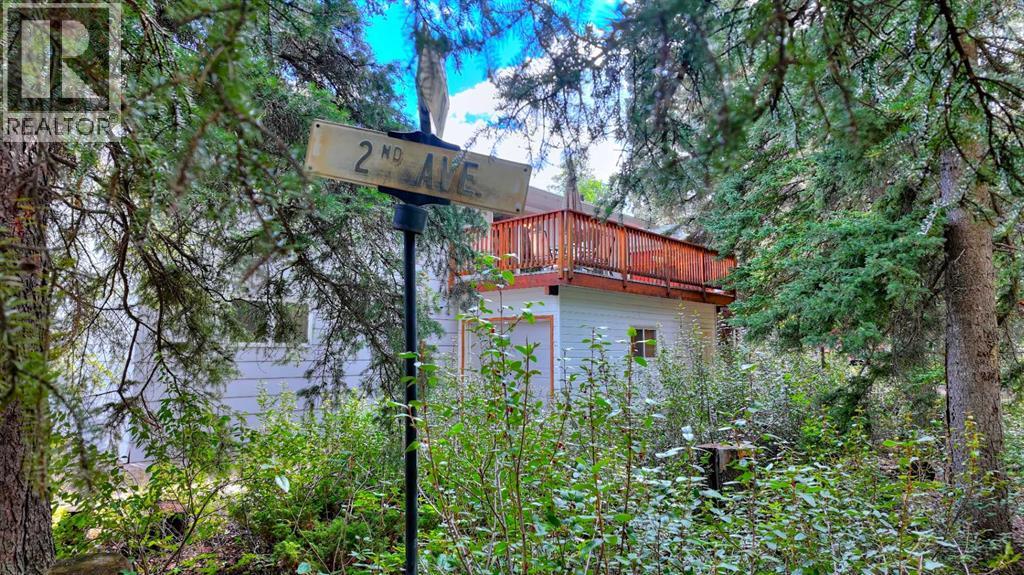 908 Larch Place, Canmore, Alberta  T1W 1S5 - Photo 21 - A2250248