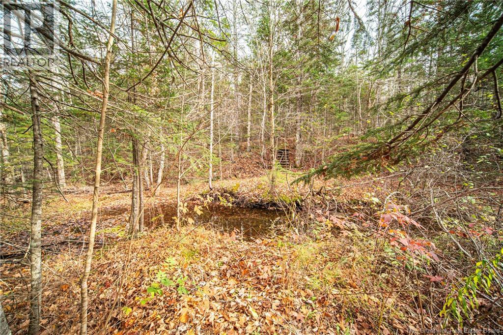 200 Deerwood, Hanwell, New Brunswick  E3E 1C1 - Photo 48 - NB129548