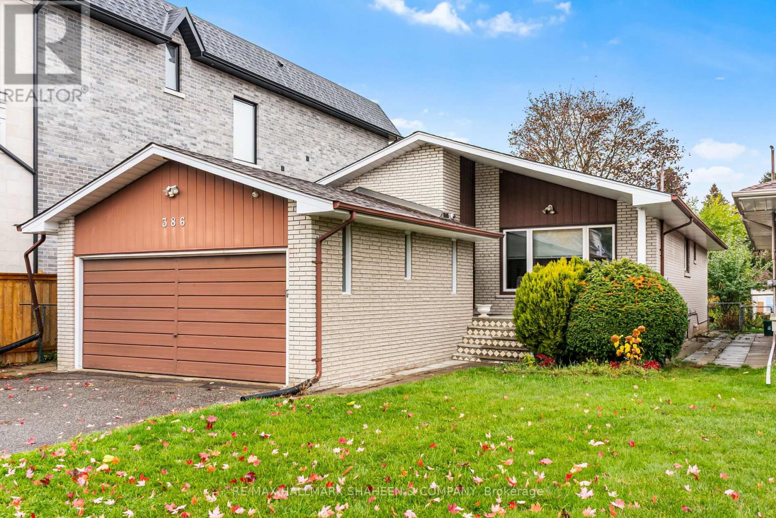 Main - 386 Ellerslie Avenue, Toronto, Ontario  M2R 1B9 - Photo 2 - C12504294