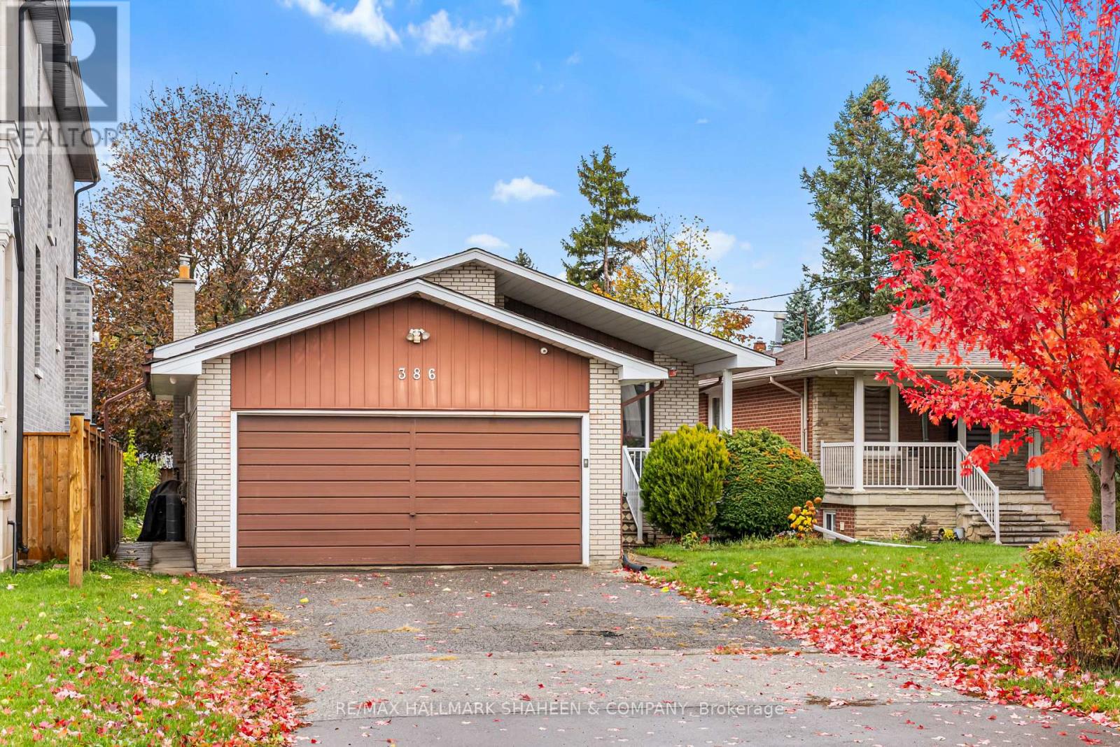 Main - 386 Ellerslie Avenue, Toronto, Ontario  M2R 1B9 - Photo 3 - C12504294