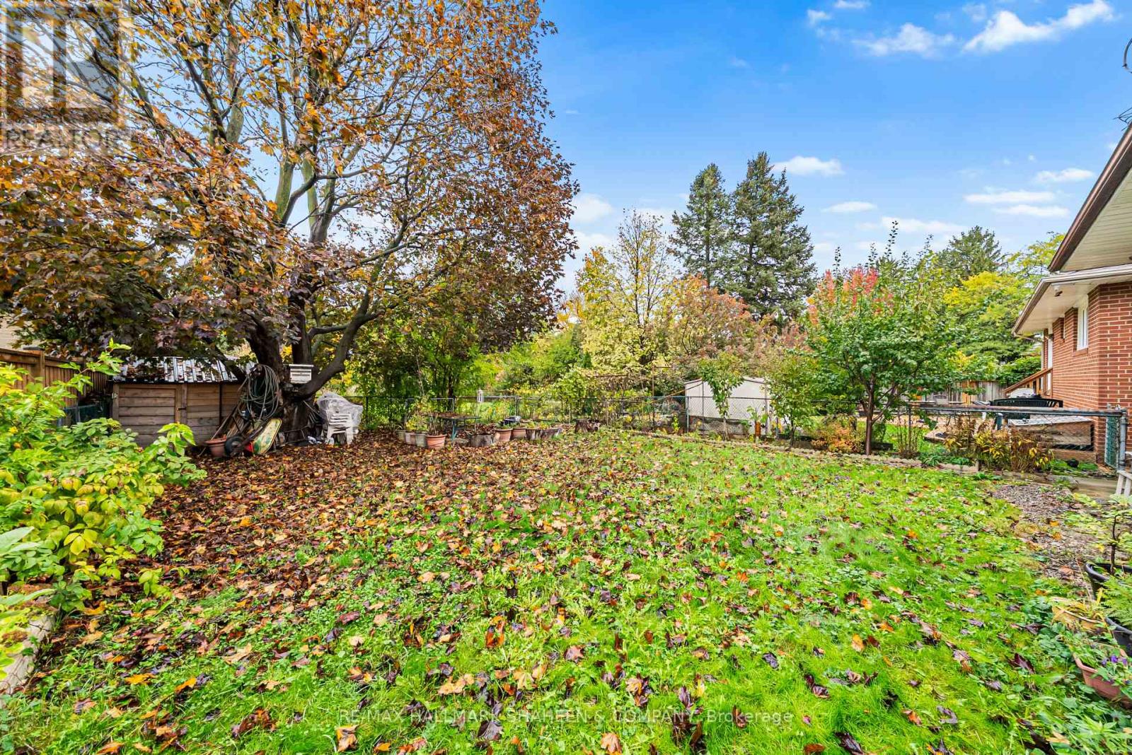 Main - 386 Ellerslie Avenue, Toronto, Ontario  M2R 1B9 - Photo 31 - C12504294