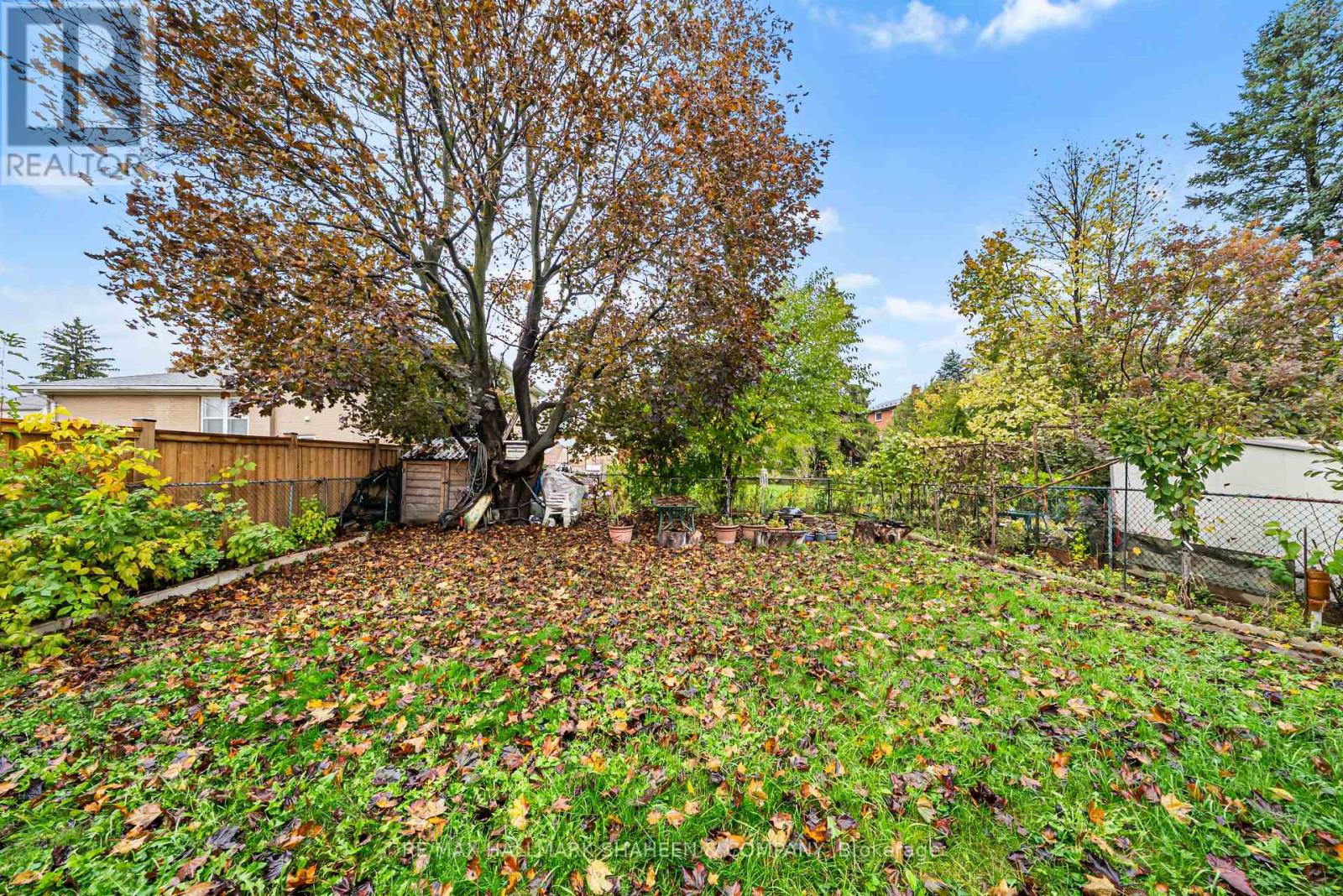 Main - 386 Ellerslie Avenue, Toronto, Ontario  M2R 1B9 - Photo 32 - C12504294