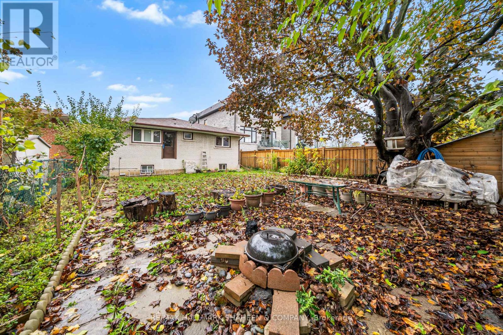 Main - 386 Ellerslie Avenue, Toronto, Ontario  M2R 1B9 - Photo 34 - C12504294