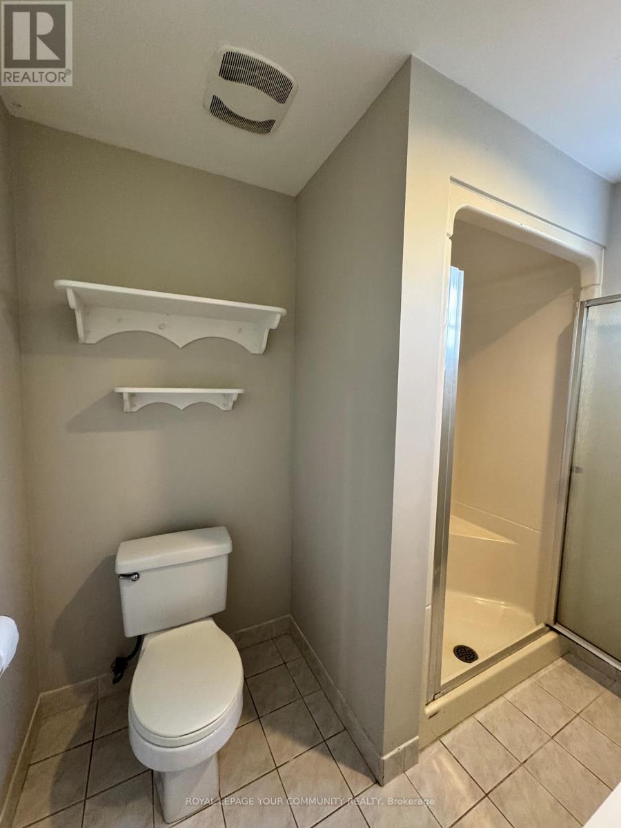 205 Talbot Crescent, Newmarket, Ontario  L3Y 1A4 - Photo 17 - N12503624