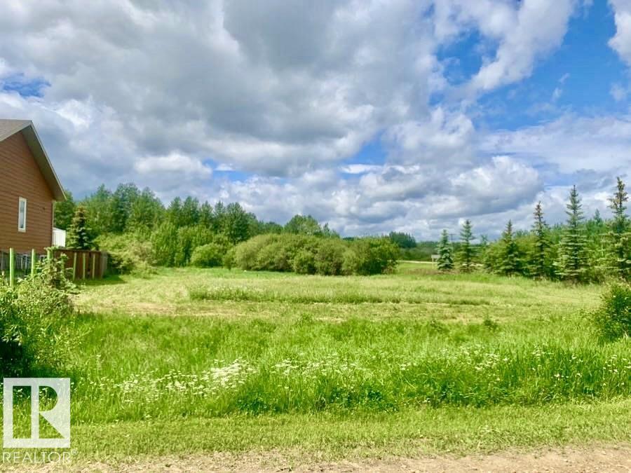 433 SWEDBERG ST, Rural Wetaskiwin County, Alberta