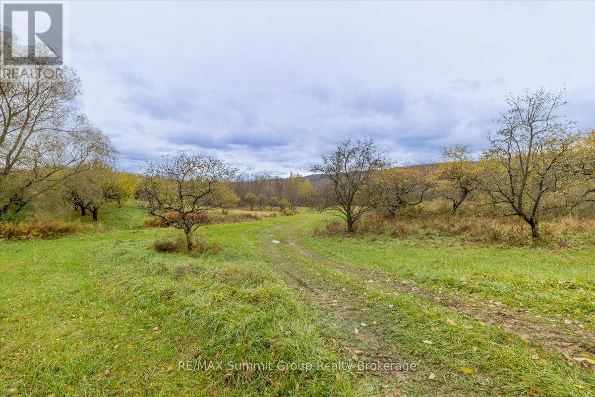 235274 Grey Road 13, Grey Highlands, Ontario  N0C 1G0 - Photo 4 - X12504510