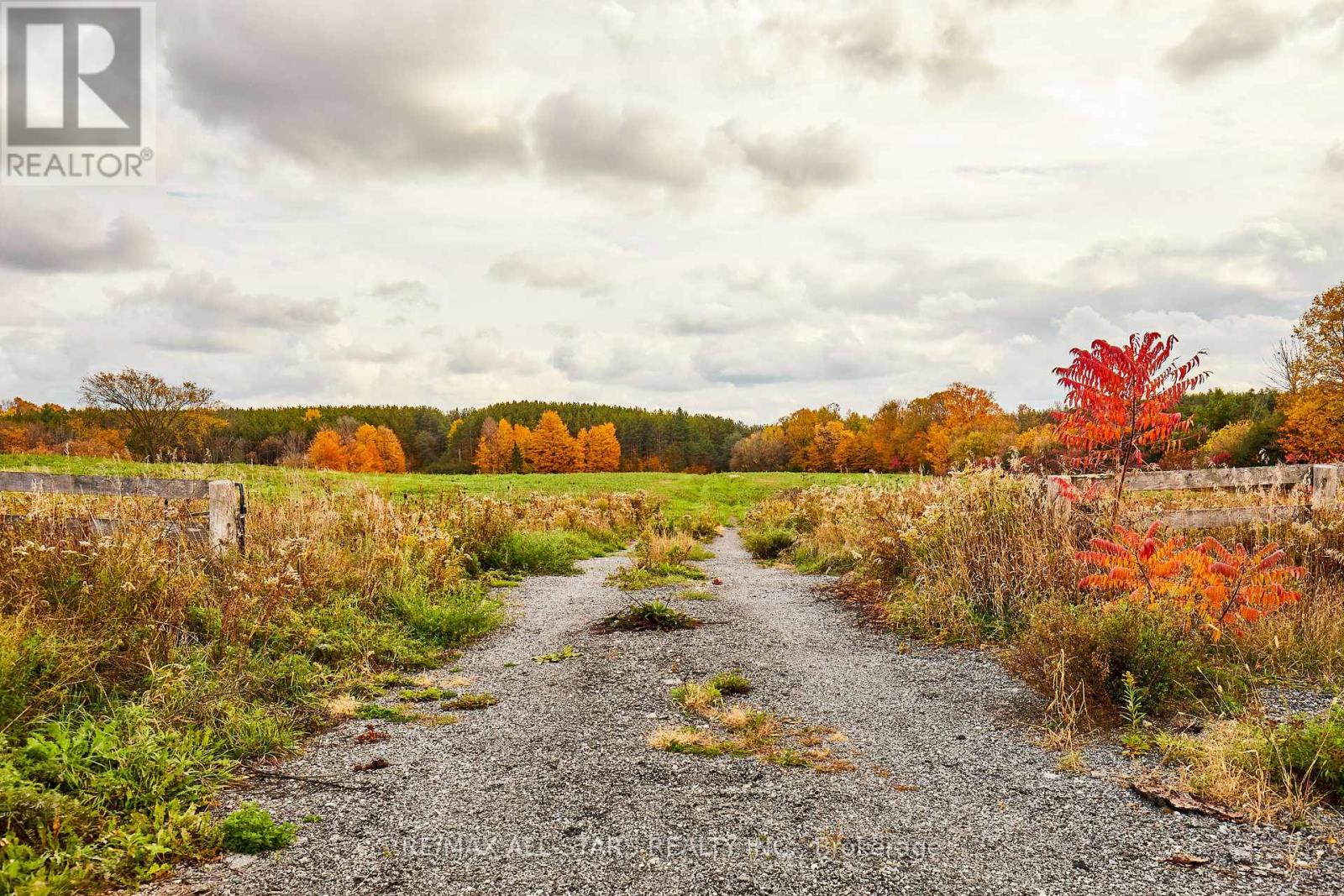 337 Regional Road 8, Uxbridge, Ontario L9P 1R1 - Photo 9 - N12474806