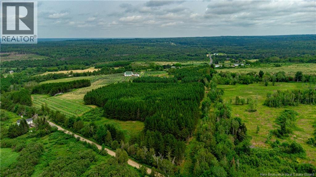 320 Red Bank Road, Chipman, New Brunswick  E4A 2B1 - Photo 42 - NB129590