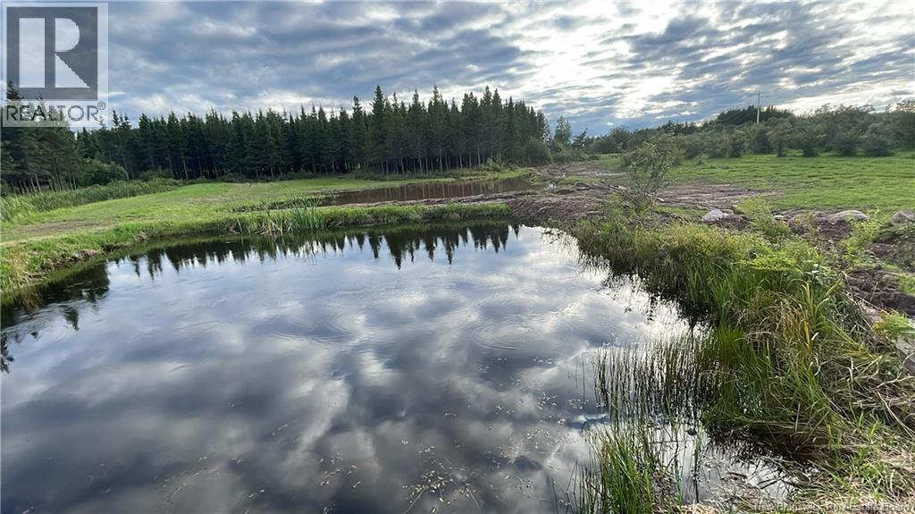 320 Red Bank Road, Chipman, New Brunswick  E4A 2B1 - Photo 46 - NB129590