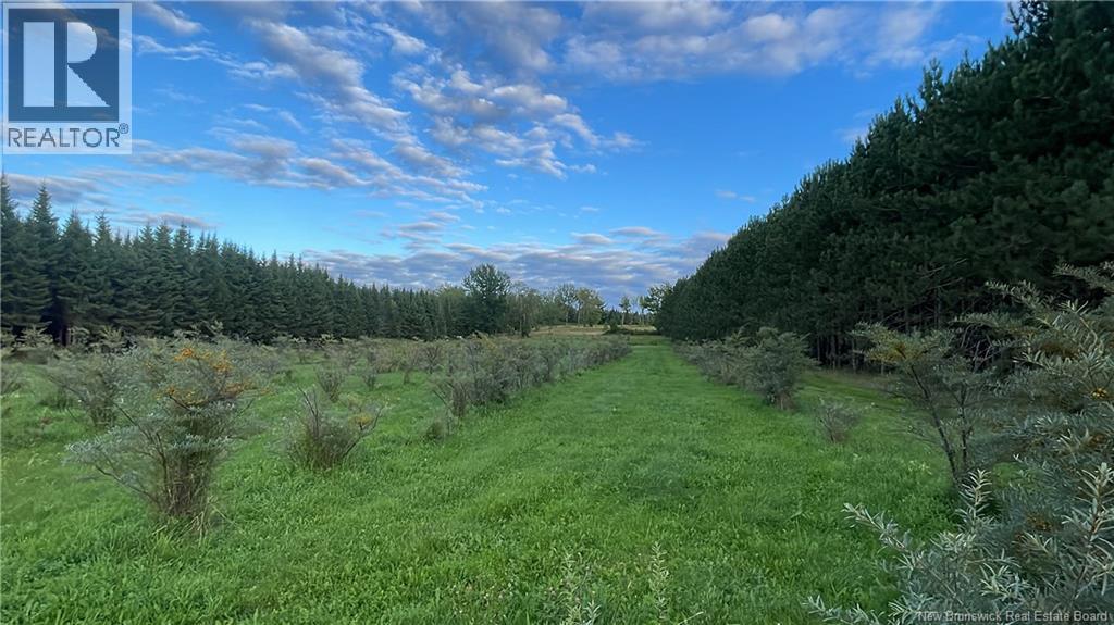 320 Red Bank Road, Chipman, New Brunswick  E4A 2B1 - Photo 48 - NB129590