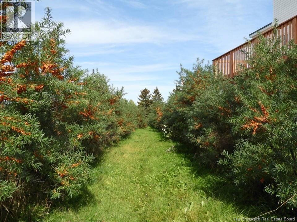 320 Red Bank Road, Chipman, New Brunswick  E4A 2B1 - Photo 12 - NB129588