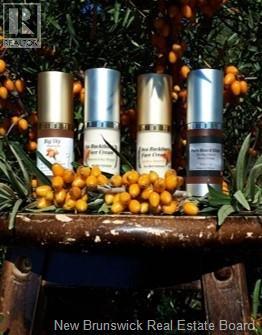 320 Red Bank Road, Chipman, New Brunswick  E4A 2B1 - Photo 14 - NB129588