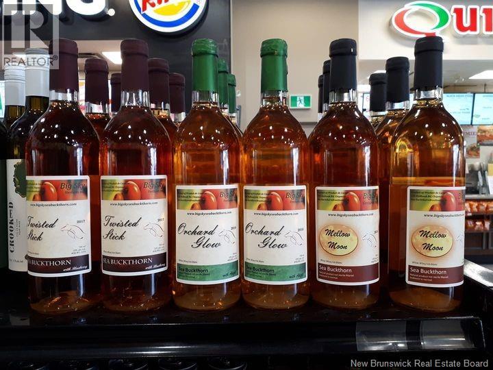 320 Red Bank Road, Chipman, New Brunswick  E4A 2B1 - Photo 15 - NB129588